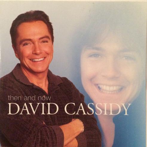 David Cassidy & the Partridge Family; The Partridge Family